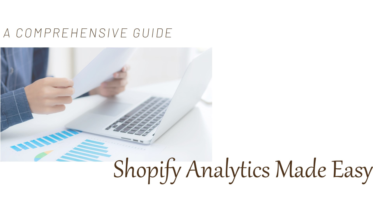 Guide to Shopify Analytics